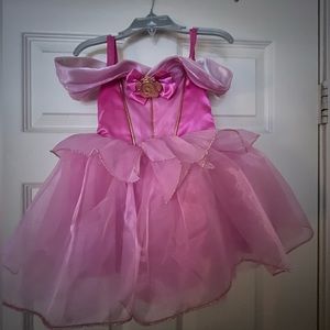 Sleeping Beauty Costume